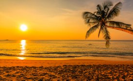 Relaxing on the beach.